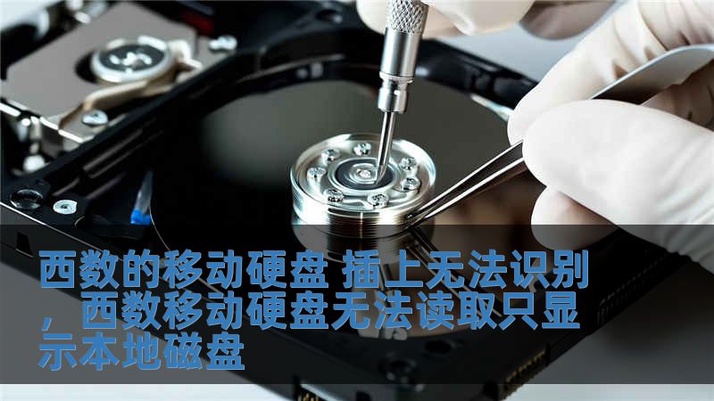 西數(shù)的移動(dòng)硬盤(pán) 插上無(wú)法識(shí)別，西數(shù)移動(dòng)硬盤(pán)無(wú)法讀取只顯示本地磁盤(pán)
