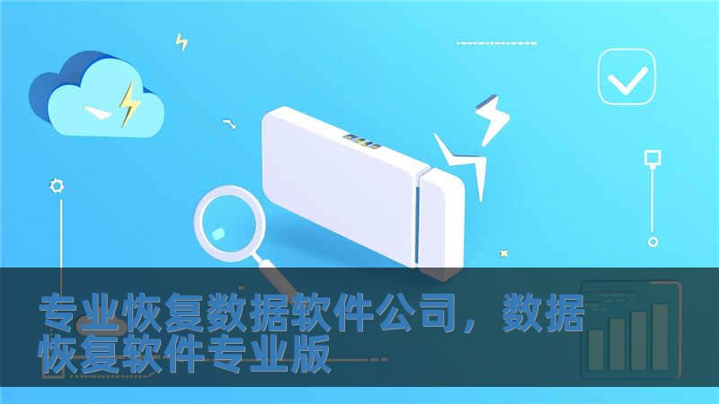 專業恢復數據軟件公司，數據恢復軟件專業版