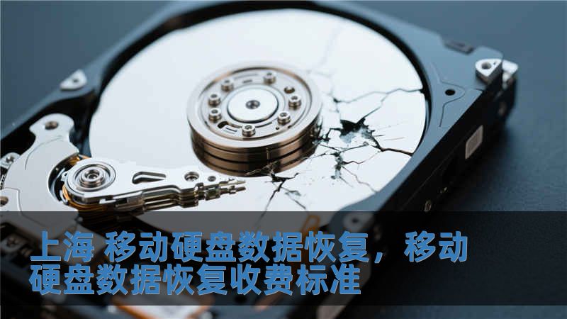 上海 移動硬盤數(shù)據(jù)恢復(fù)，移動硬盤數(shù)據(jù)恢復(fù)收費標(biāo)準(zhǔn)