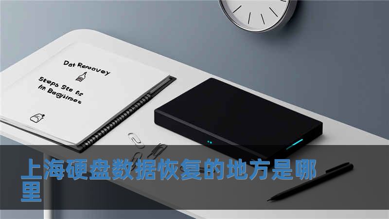 上海硬盤數(shù)據(jù)恢復(fù)的地方是哪里