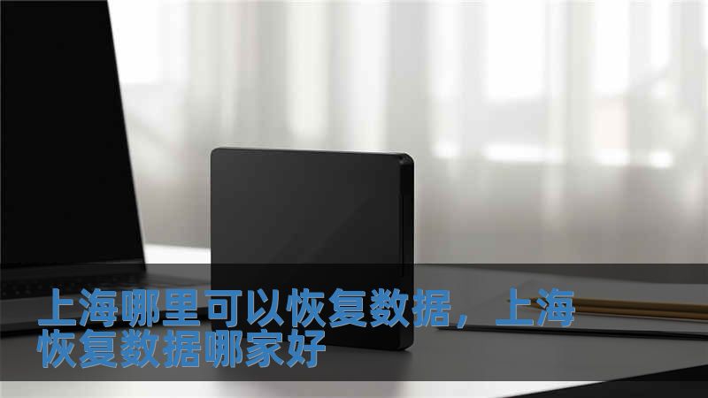 上海哪里可以恢復(fù)數(shù)據(jù)，上海恢復(fù)數(shù)據(jù)哪家好