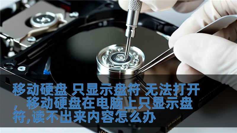 移動硬盤 只顯示盤符 無法打開，移動硬盤在電腦上只顯示盤符,讀不出來內容怎么辦