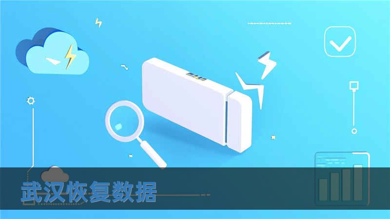 武漢恢復數據