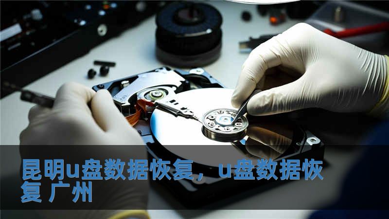 昆明u盤(pán)數(shù)據(jù)恢復(fù)，u盤(pán)數(shù)據(jù)恢復(fù) 廣州