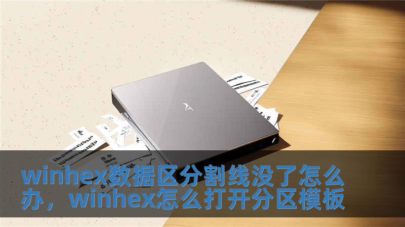 winhex數(shù)據(jù)區(qū)分割線沒了怎么辦，winhex怎么打開分區(qū)模板