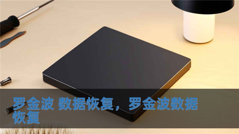 羅金波 數據恢復，羅金波數據恢復