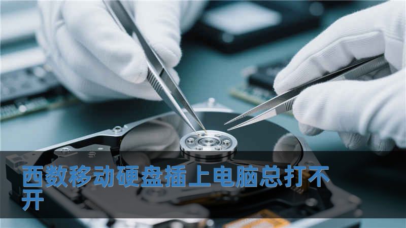西數移動硬盤插上電腦總打不開