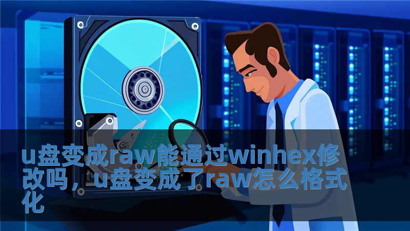 u盤變成raw能通過winhex修改嗎，u盤變成了raw怎么格式化