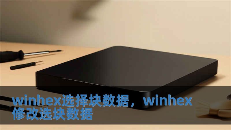 winhex選擇塊數據，winhex修改選塊數據