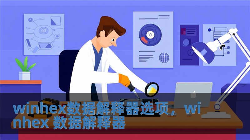 winhex數(shù)據(jù)解釋器選項(xiàng)，winhex 數(shù)據(jù)解釋器