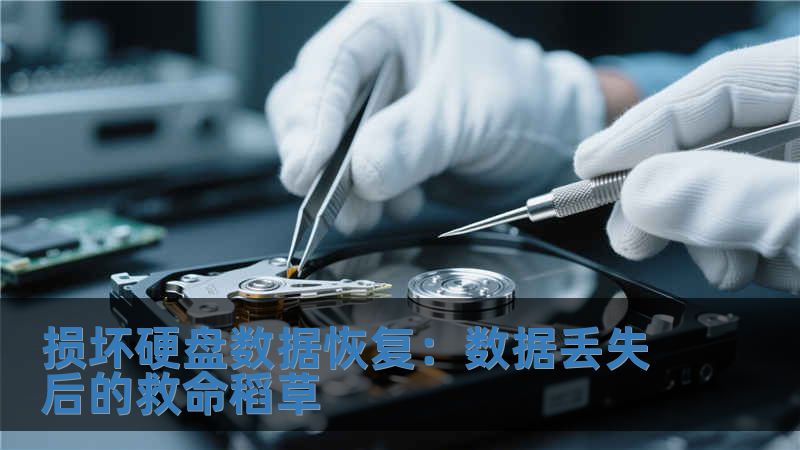 損壞硬盤數(shù)據(jù)恢復(fù)：數(shù)據(jù)丟失后的救命稻草