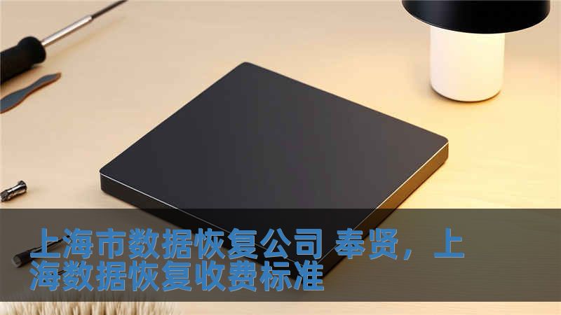 上海市數(shù)據(jù)恢復(fù)公司 奉賢，上海數(shù)據(jù)恢復(fù)收費(fèi)標(biāo)準(zhǔn)