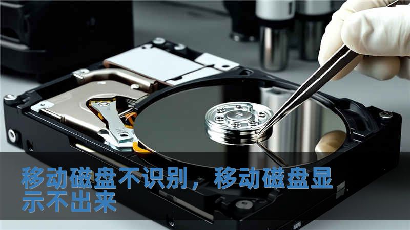 移動磁盤不識別，移動磁盤顯示不出來