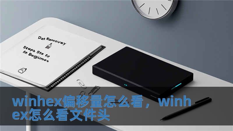 winhex偏移量怎么看，winhex怎么看文件頭