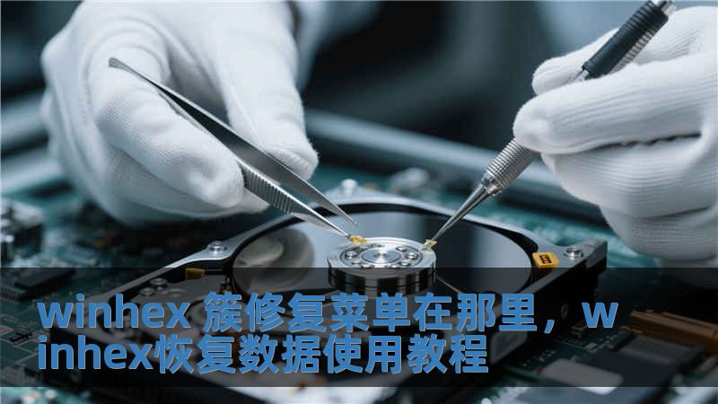 winhex 簇修復(fù)菜單在那里，winhex恢復(fù)數(shù)據(jù)使用教程