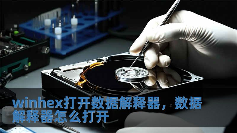 winhex打開數(shù)據(jù)解釋器，數(shù)據(jù)解釋器怎么打開