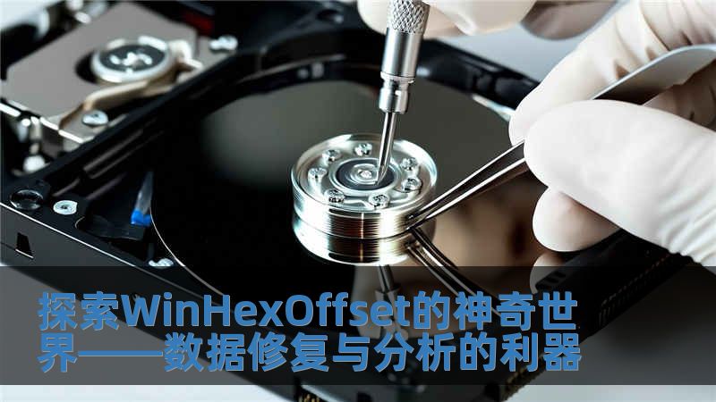 探索WinHexOffset的神奇世界——數(shù)據(jù)修復(fù)與分析的利器