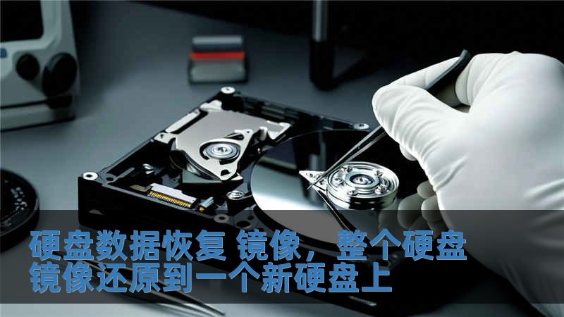 硬盤數(shù)據(jù)恢復 鏡像，整個硬盤鏡像還原到一個新硬盤上