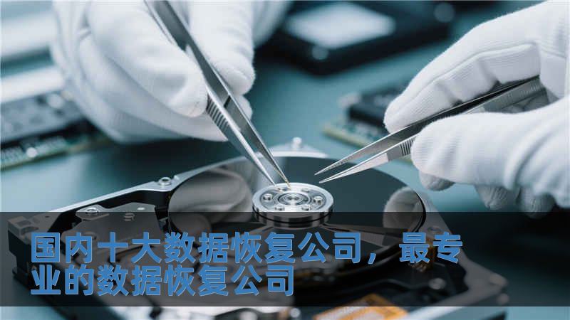國內(nèi)十大數(shù)據(jù)恢復(fù)公司，最專業(yè)的數(shù)據(jù)恢復(fù)公司