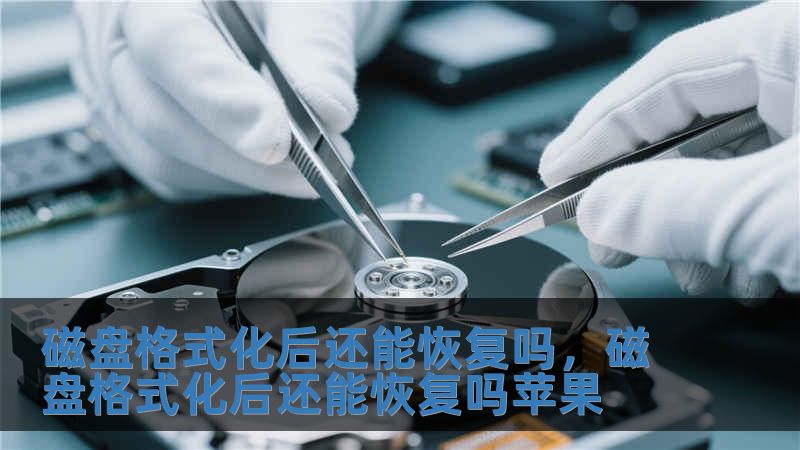 磁盤格式化后還能恢復(fù)嗎，磁盤格式化后還能恢復(fù)嗎蘋果