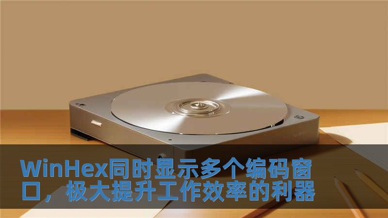 WinHex同時顯示多個編碼窗口，極大提升工作效率的利器