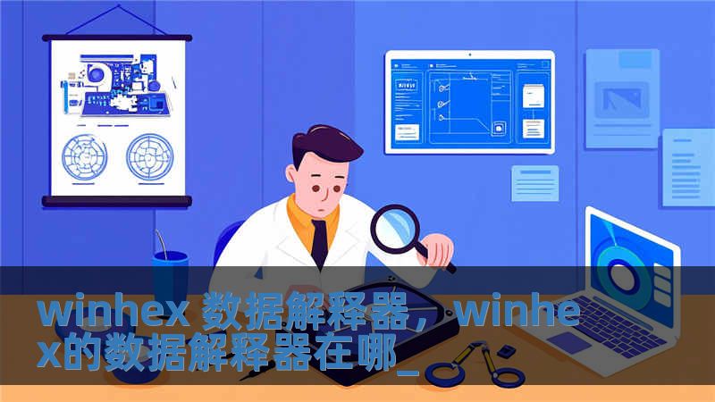 winhex 數(shù)據(jù)解釋器，winhex的數(shù)據(jù)解釋器在哪_