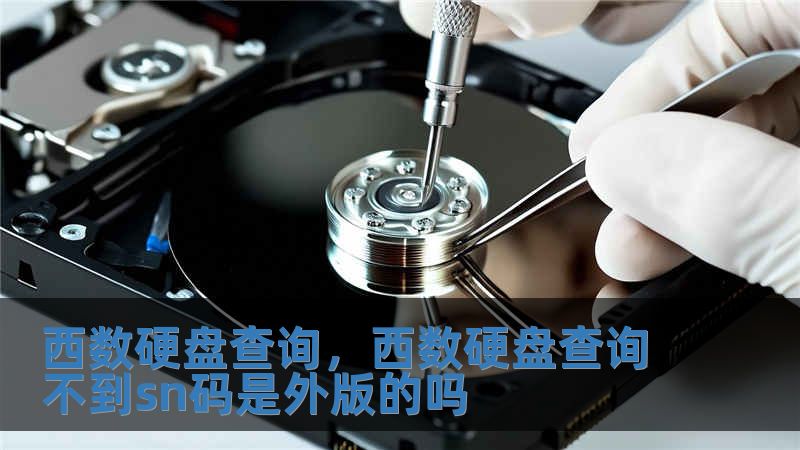西數硬盤查詢，西數硬盤查詢不到sn碼是外版的嗎