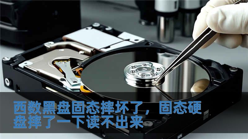 西數黑盤固態摔壞了，固態硬盤摔了一下讀不出來