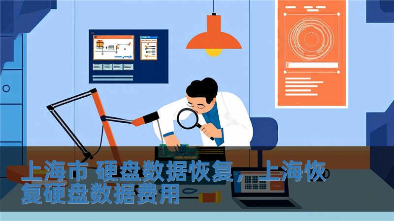上海市 硬盤數據恢復，上海恢復硬盤數據費用