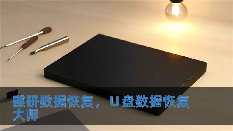 碟研數據恢復，∪盤數據恢復大師