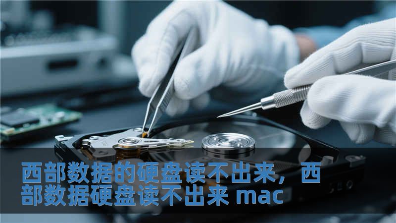 西部數(shù)據(jù)的硬盤讀不出來(lái)，西部數(shù)據(jù)硬盤讀不出來(lái) mac
