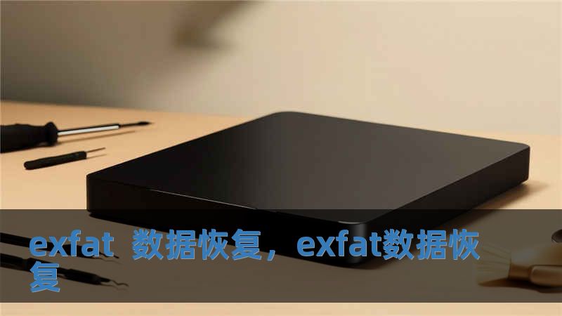 exfat  數據恢復，exfat數據恢復