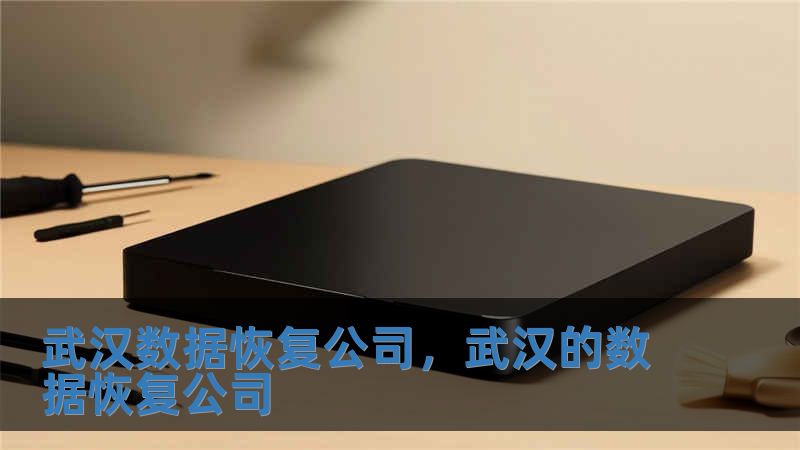 武漢數據恢復公司，武漢的數據恢復公司