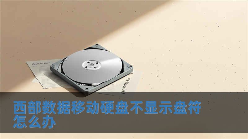 西部數(shù)據(jù)移動(dòng)硬盤(pán)不顯示盤(pán)符怎么辦