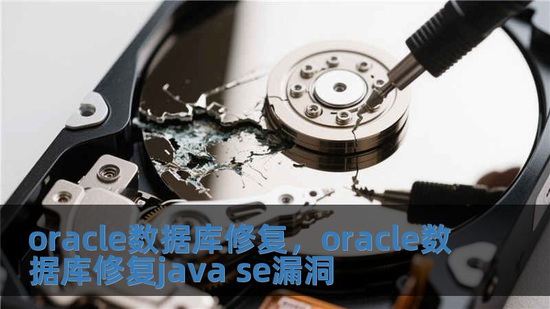 oracle數(shù)據(jù)庫修復(fù)，oracle數(shù)據(jù)庫修復(fù)java se漏洞