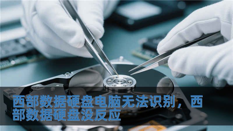 西部數據硬盤電腦無法識別，西部數據硬盤沒反應