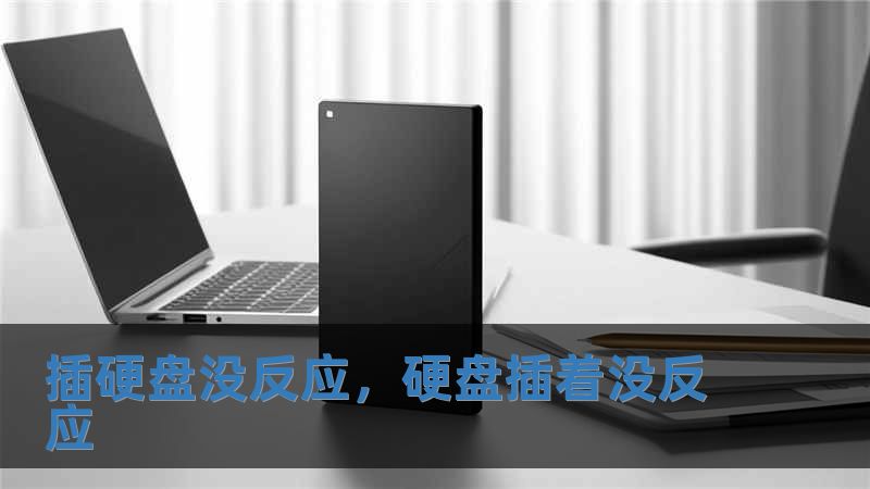 插硬盤沒反應，硬盤插著沒反應