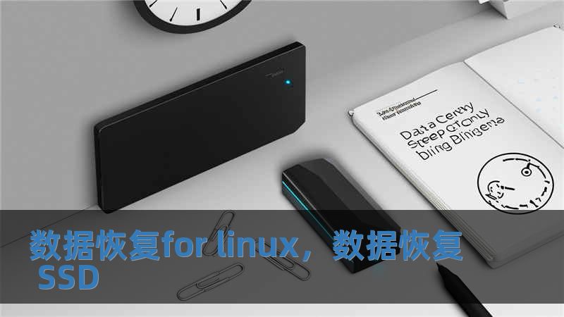 數(shù)據(jù)恢復(fù)for linux，數(shù)據(jù)恢復(fù) SSD