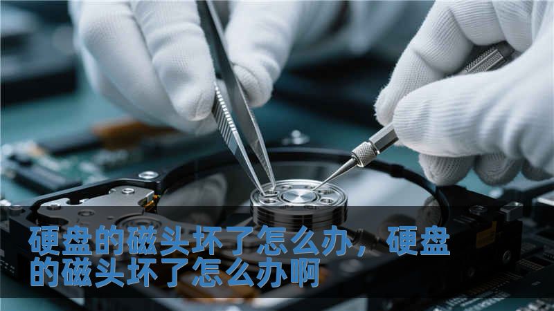 硬盤的磁頭壞了怎么辦，硬盤的磁頭壞了怎么辦啊