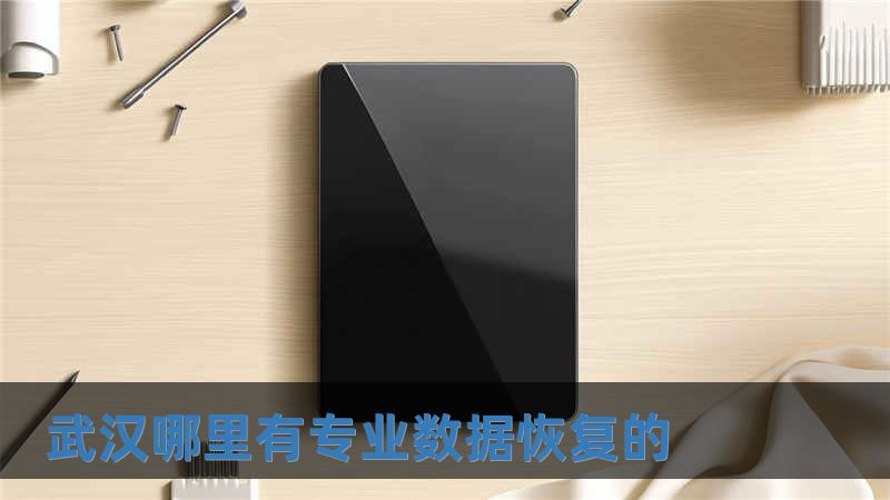 武漢哪里有專業(yè)數(shù)據(jù)恢復的