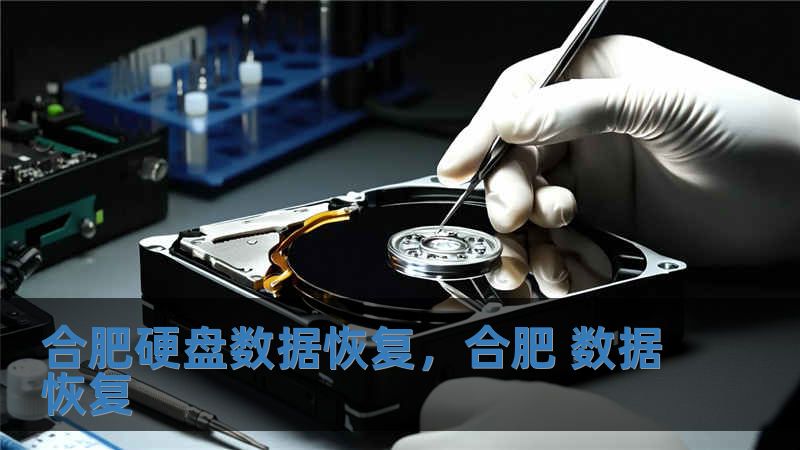 合肥硬盤數(shù)據(jù)恢復(fù)，合肥 數(shù)據(jù)恢復(fù)