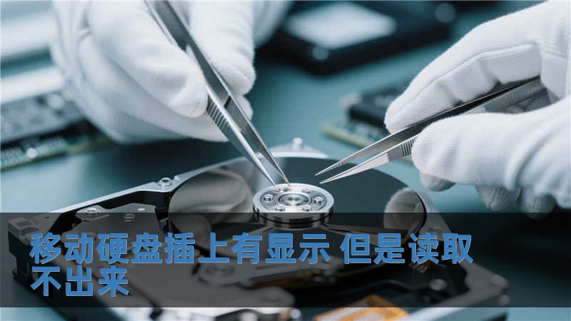 移動硬盤插上有顯示 但是讀取不出來