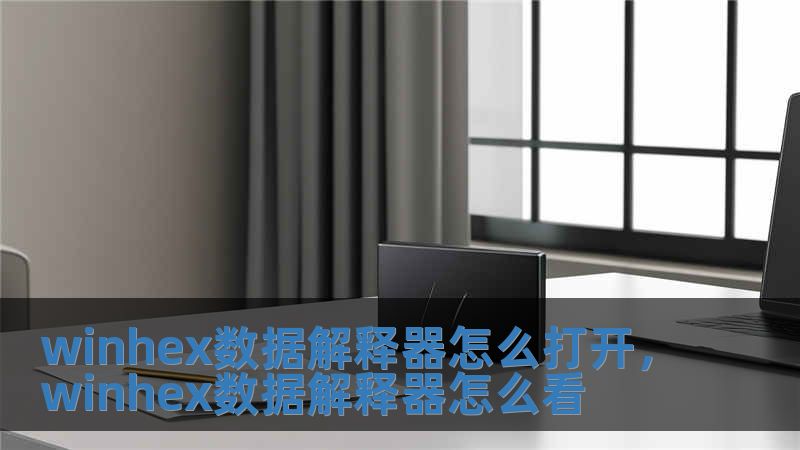 winhex數(shù)據解釋器怎么打開，winhex數(shù)據解釋器怎么看