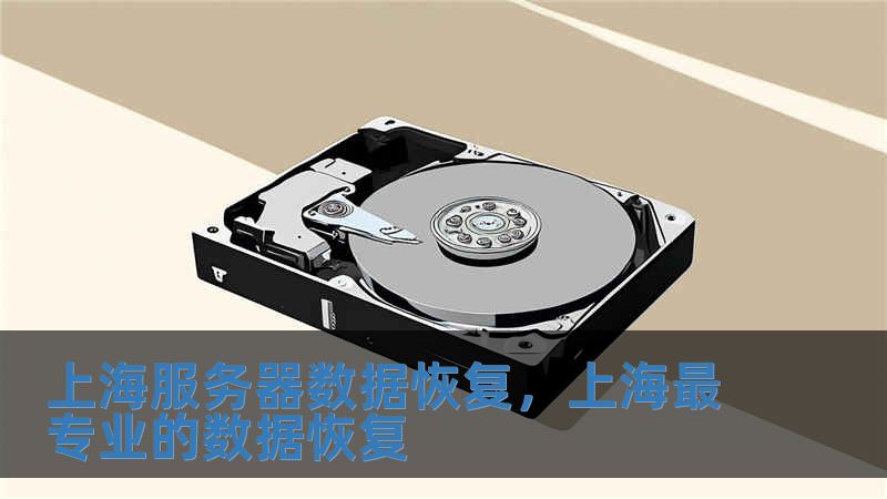 上海服務器數據恢復，上海最專業的數據恢復