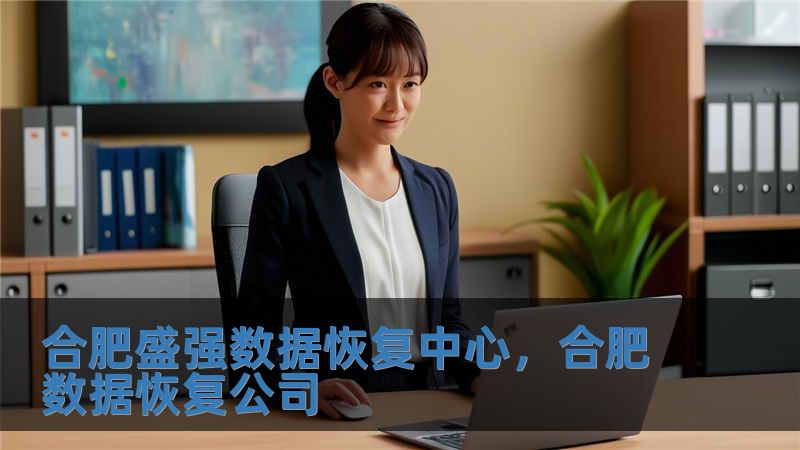 合肥盛強(qiáng)數(shù)據(jù)恢復(fù)中心，合肥數(shù)據(jù)恢復(fù)公司