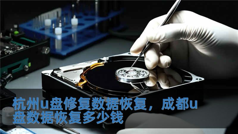 杭州u盤修復數據恢復，成都u盤數據恢復多少錢