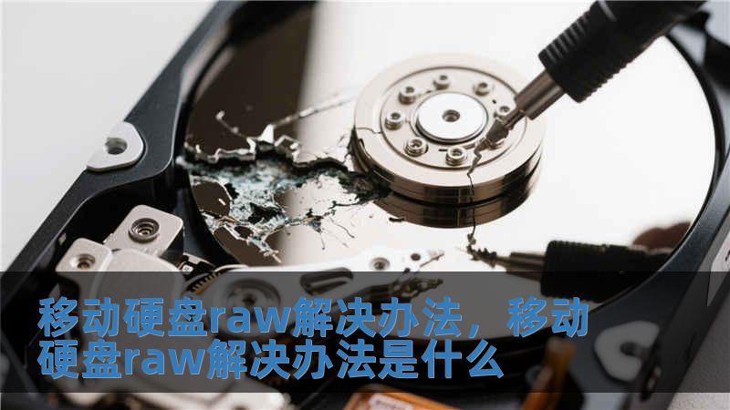 移動硬盤raw解決辦法，移動硬盤raw解決辦法是什么