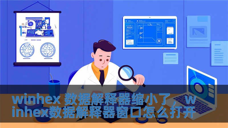 winhex 數據解釋器縮小了，winhex數據解釋器窗口怎么打開