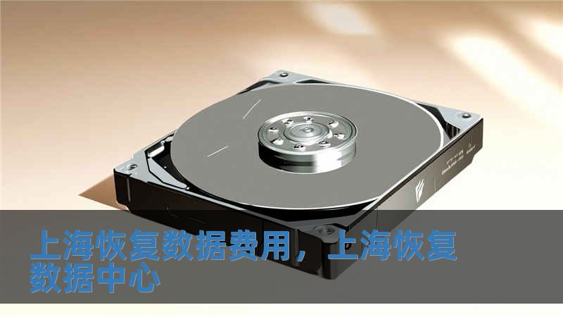 上海恢復數(shù)據(jù)費用，上海恢復數(shù)據(jù)中心