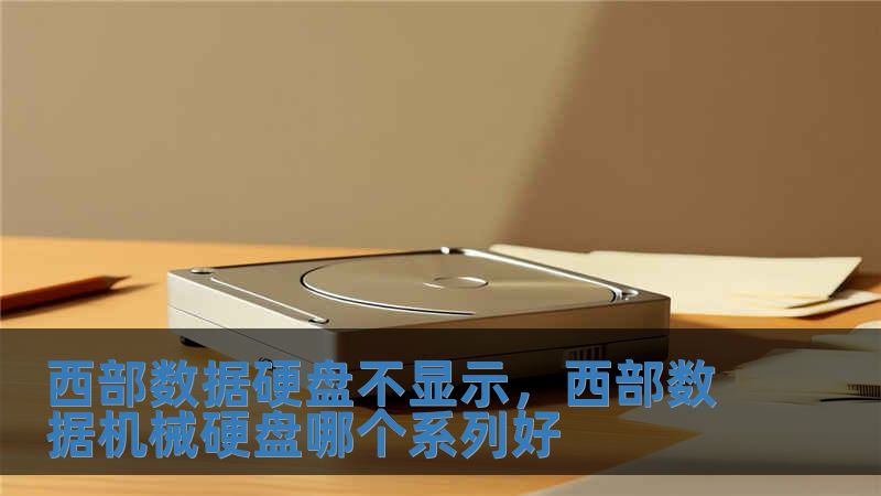西部數(shù)據(jù)硬盤不顯示，西部數(shù)據(jù)機(jī)械硬盤哪個(gè)系列好